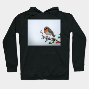 Winter Robin Hoodie